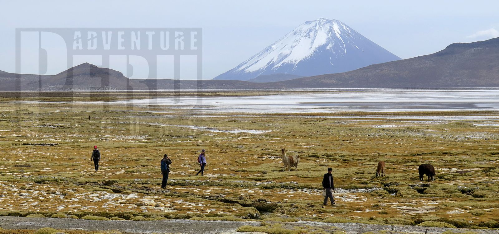 DAY TREK TO VOLCAN UBINAS AND LAGUNA DE SALINAS - Photo 6