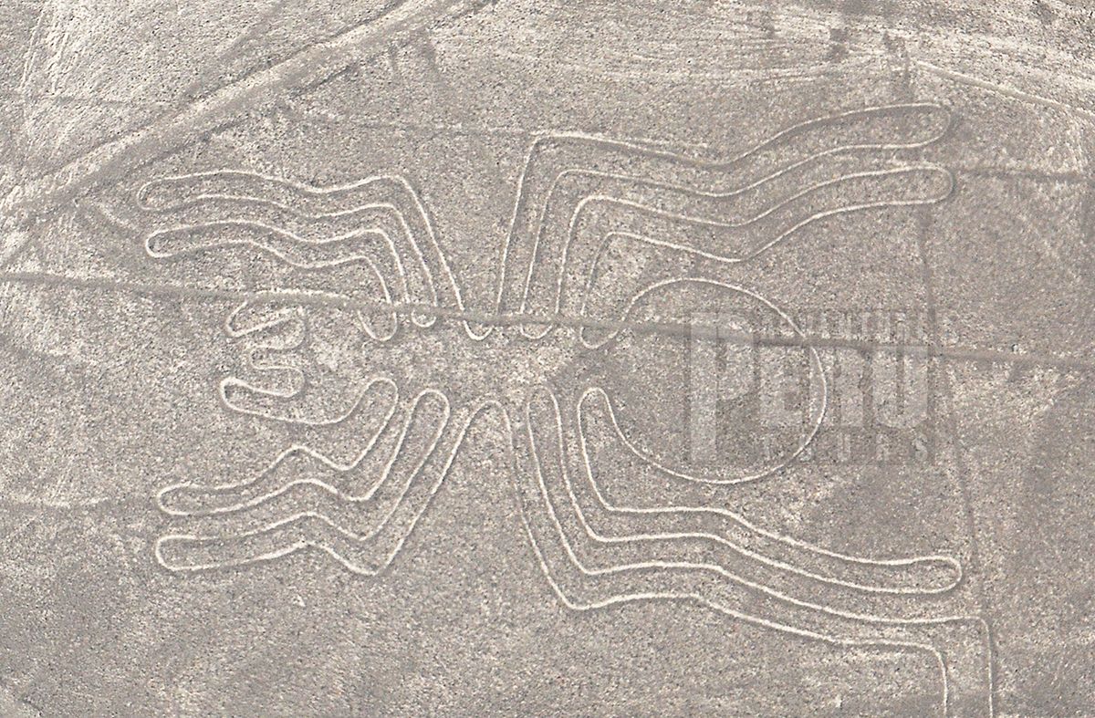 Tour to enegmatic and mysterious ancient figure of Nasca culture.