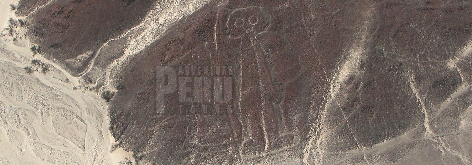 LIMA - PARACAS NATIONAL RESERVE - BALLESTAS ISLANDS - LA HUACACHINA - NASCA LINES - Photo 1