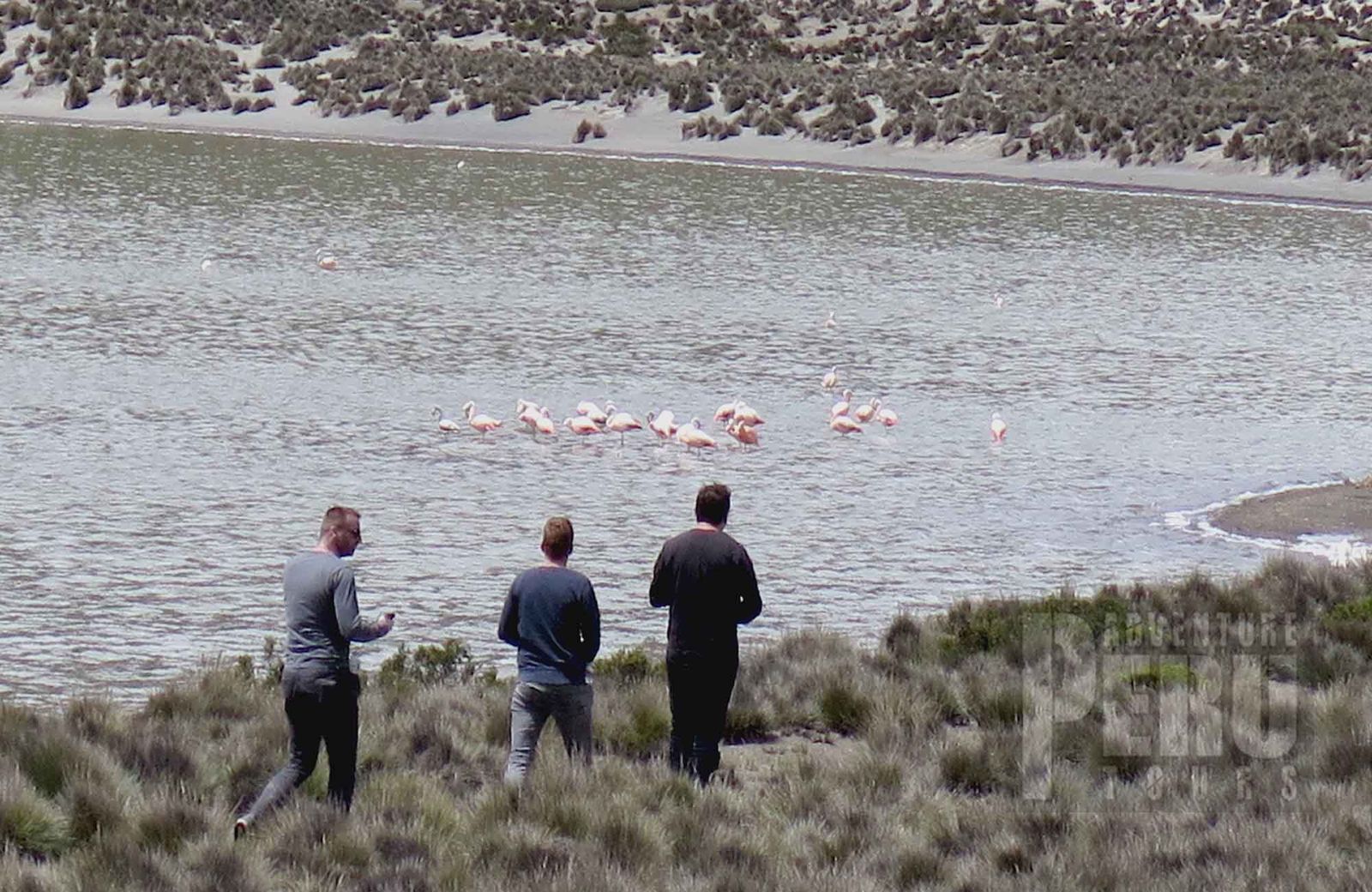 DAY TRIP & HIKING AT LAGUNA DE SALINAS AREQUIPA - Photo 3