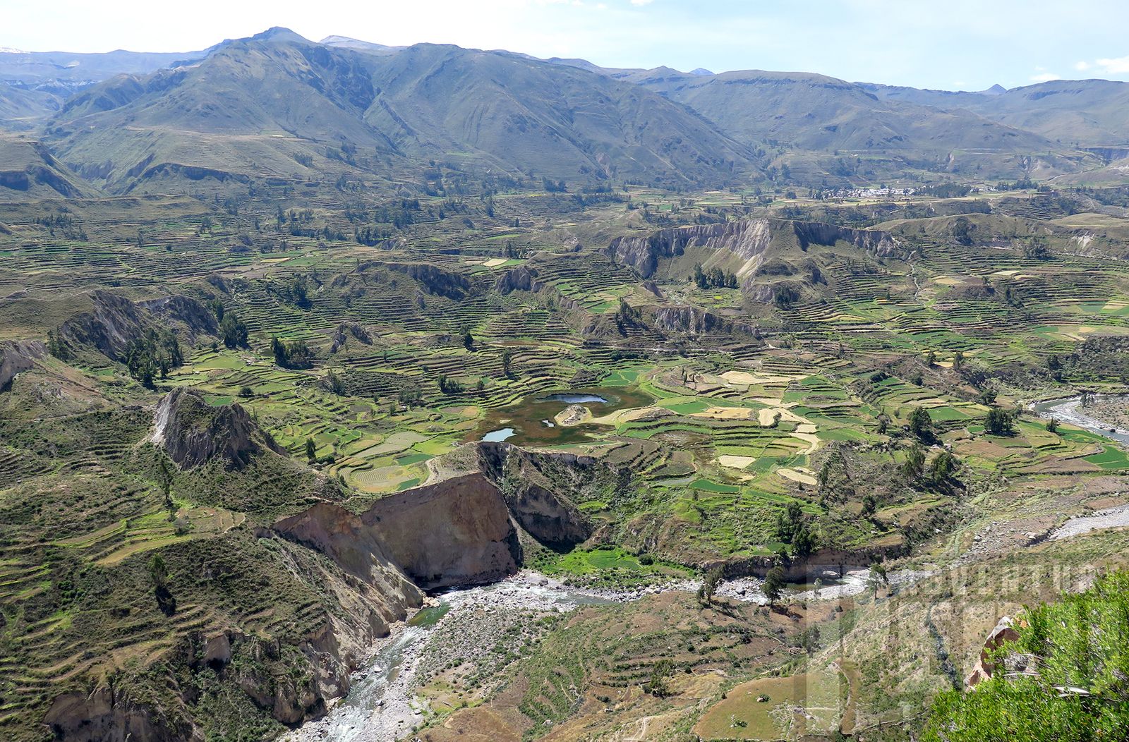 2DAY TRIP TO LAGUNA DE SALINAS AND COLCA CANYON - Photo 3