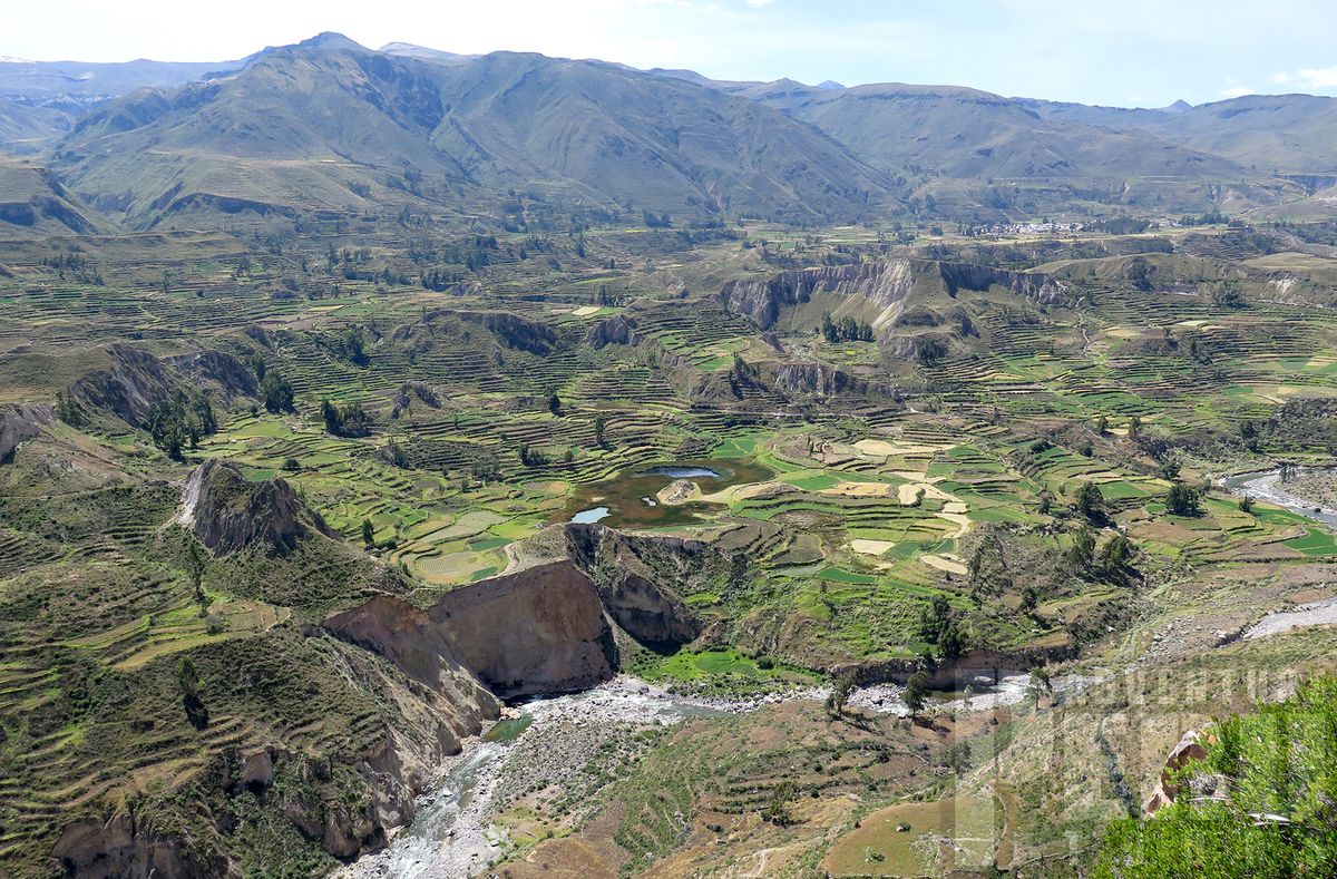 Daily ttrips to Colca canyon by www.peruadventurestours.com