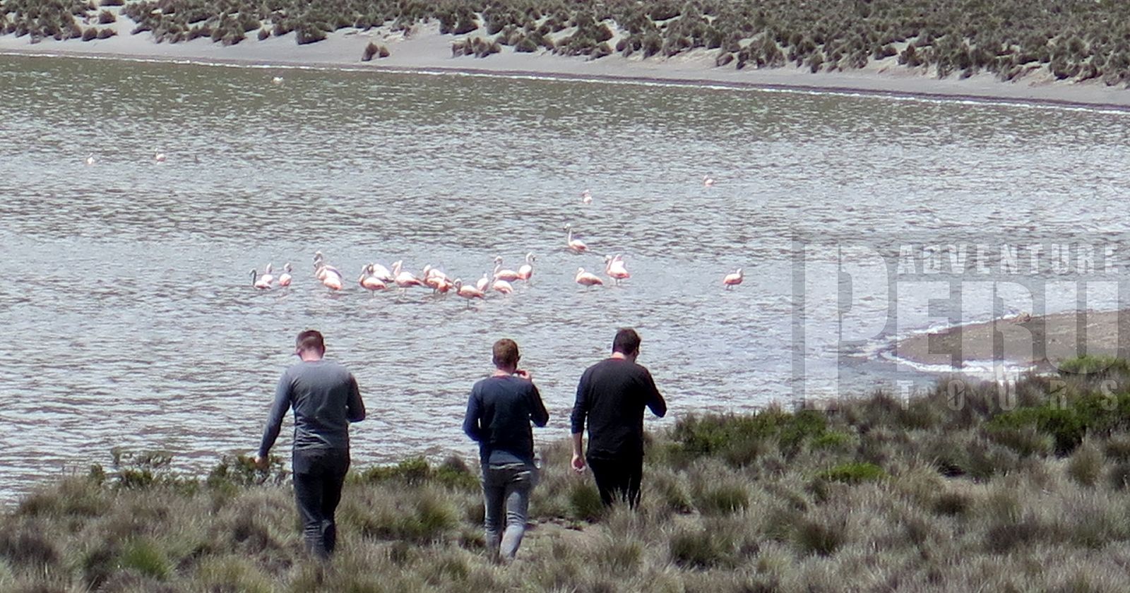 HALF DAY TOUR TO SALINAS SALT LAKE - Photo 4
