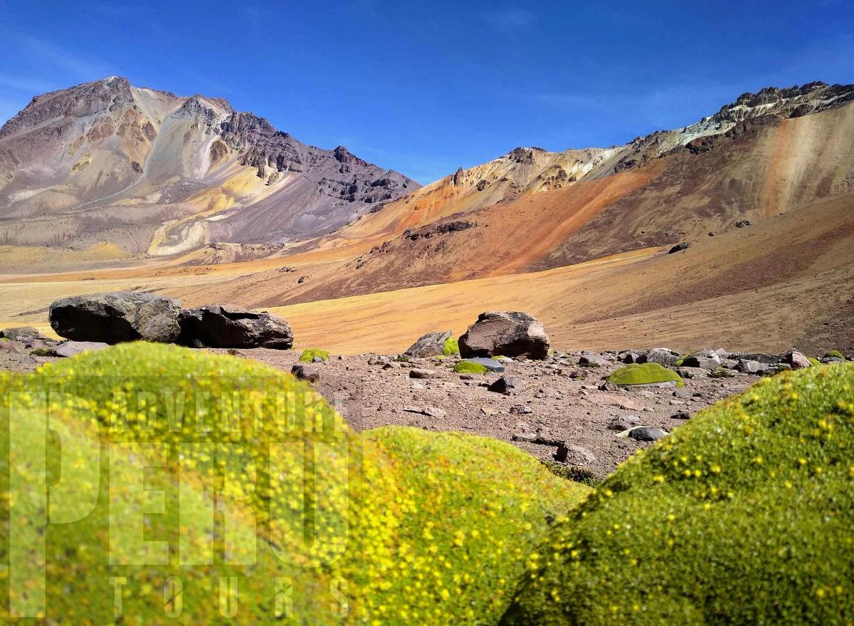 Trekking through the natural wonder of Chachani and Puka Qello valley.