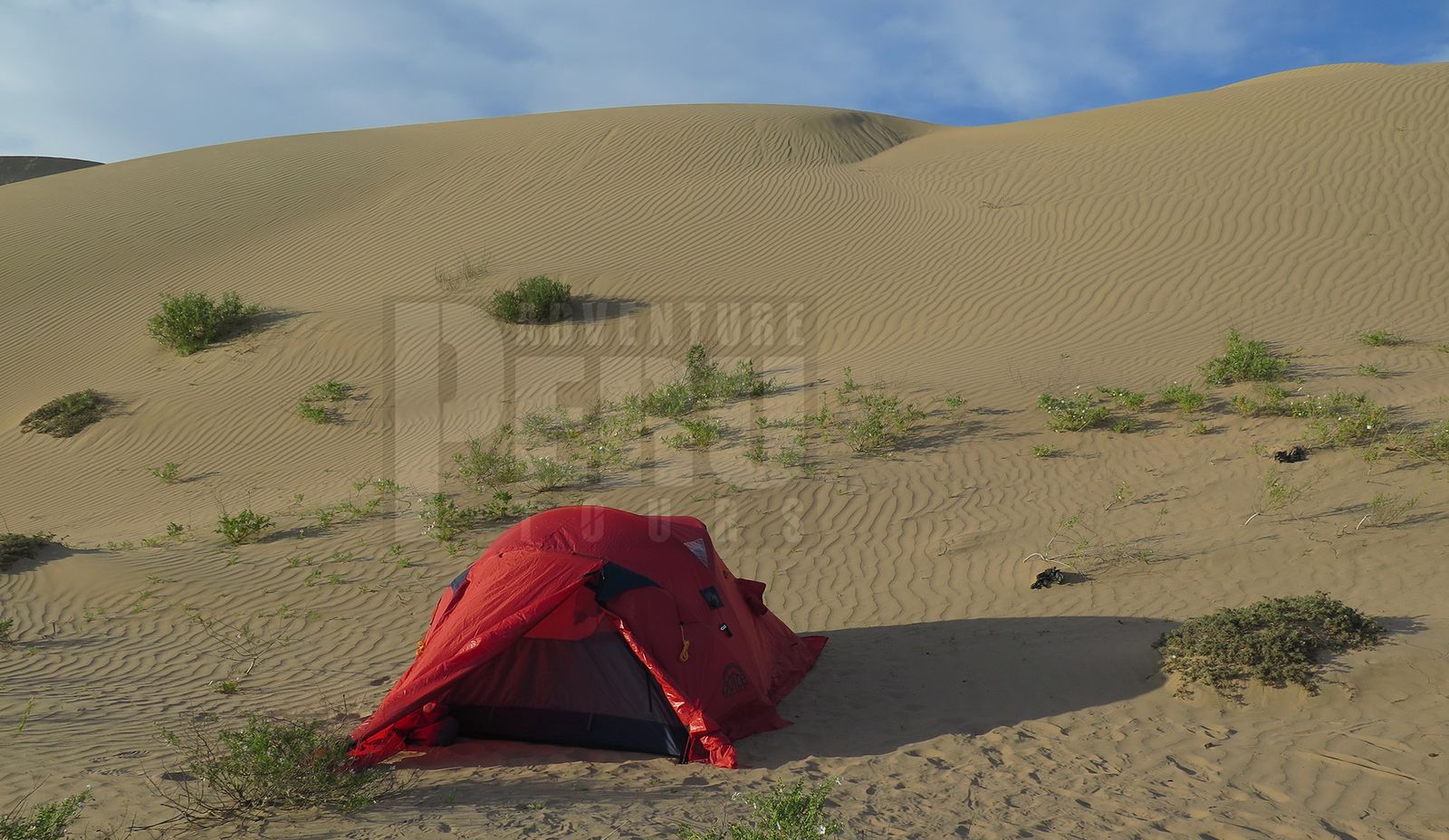 CERRO BLANCO SAND DUNE ADVENTURE NASCA - Photo 11