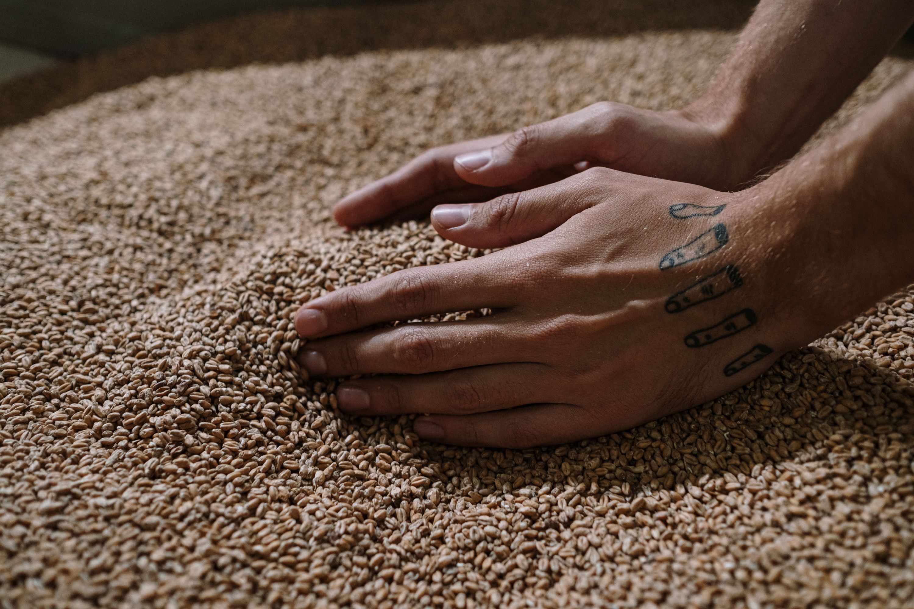 A New Ingredient Is Not a Recipe: What We Took Home from the SBI Seminar