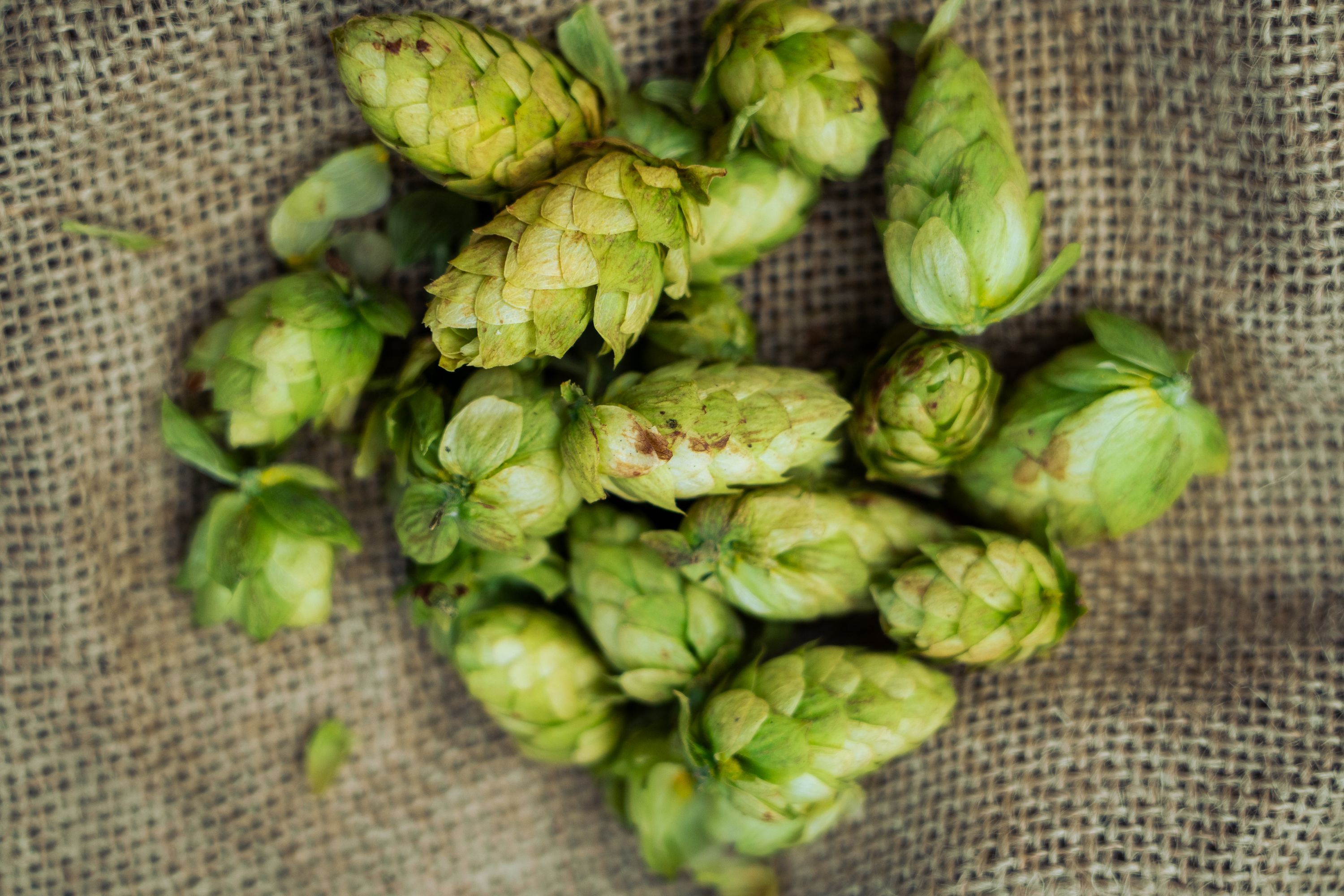 What We Have Learned About Hop Creep So Far