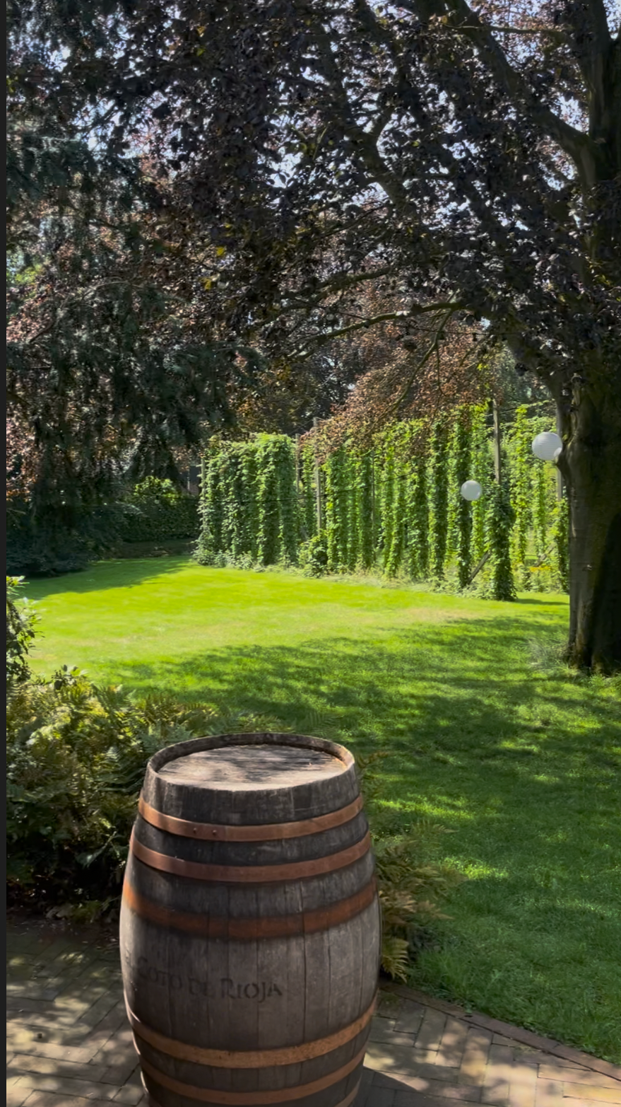 The garden at Beerze, complete with hop bines and plenty of room to relax between tastings