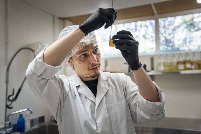 From Living Fermentation to Actionable Data: Supporting Product Development in Groningen