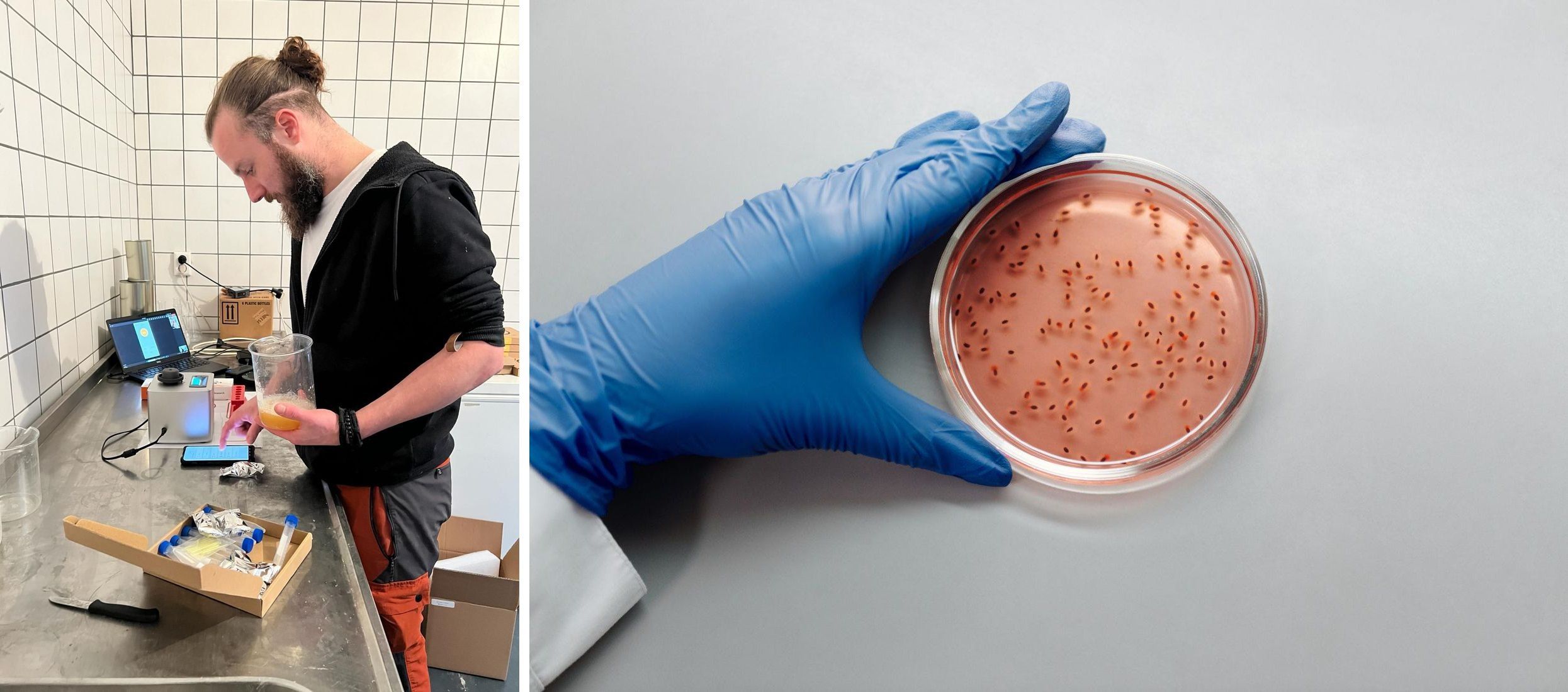 Finding the reservoir means measuring: in-house checks with Beer-o-Meter and targeted microbiological testing before and after cleaning