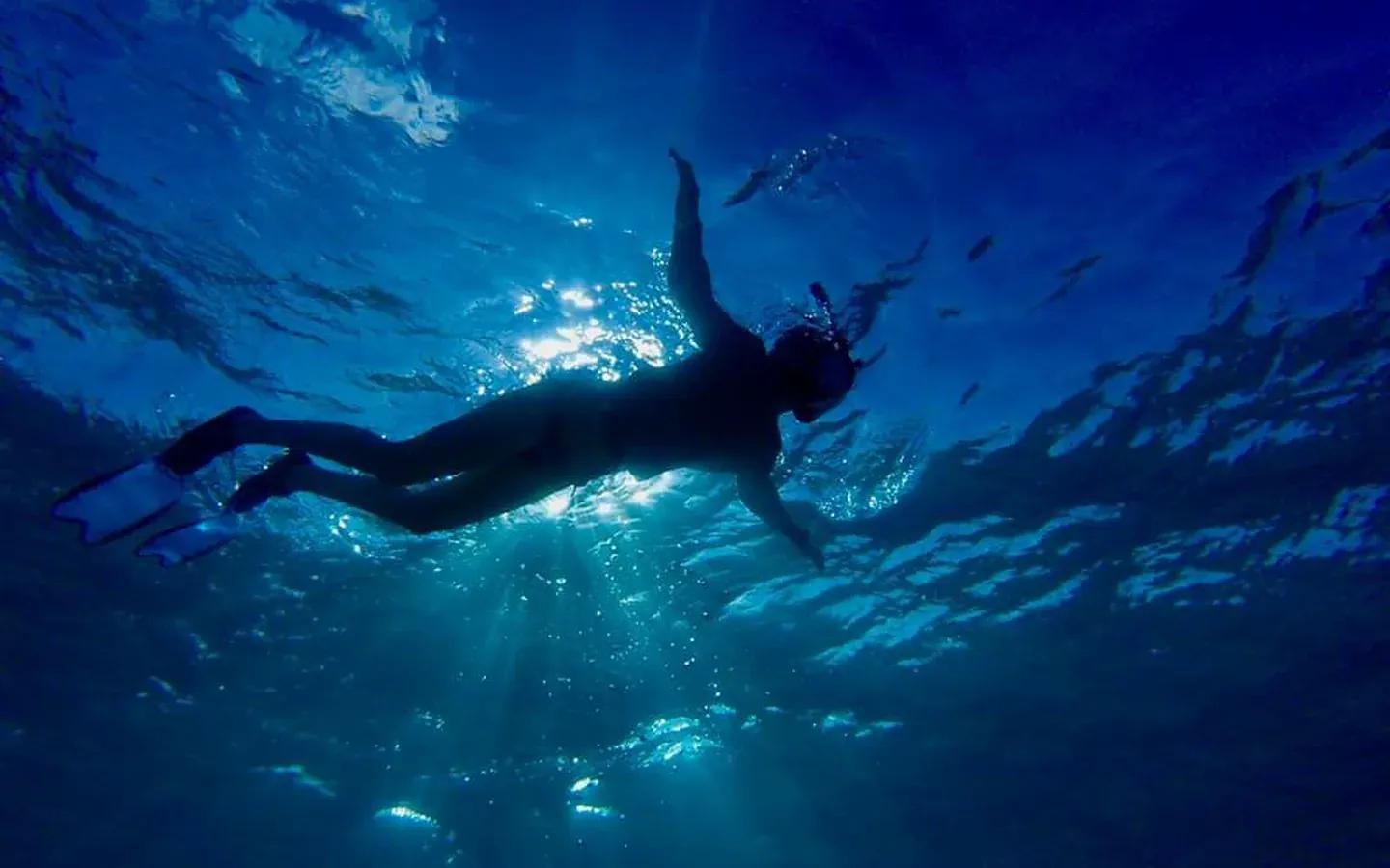 A snorkeller silhouetted against the surface with sunbeams coming down through the blue