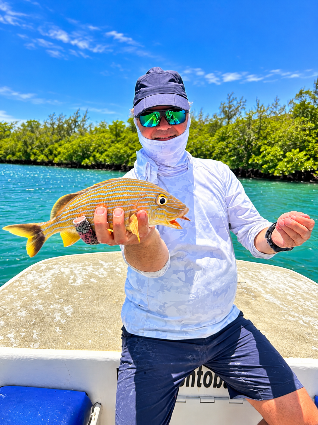 Snapper 