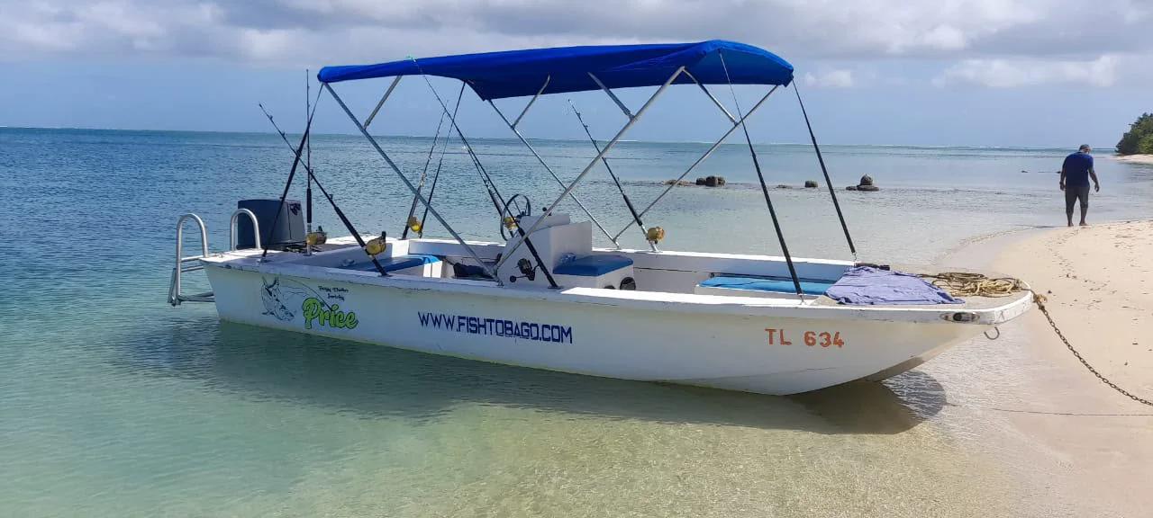 The Fish Tobago boat pulled up on the sand, canopy up