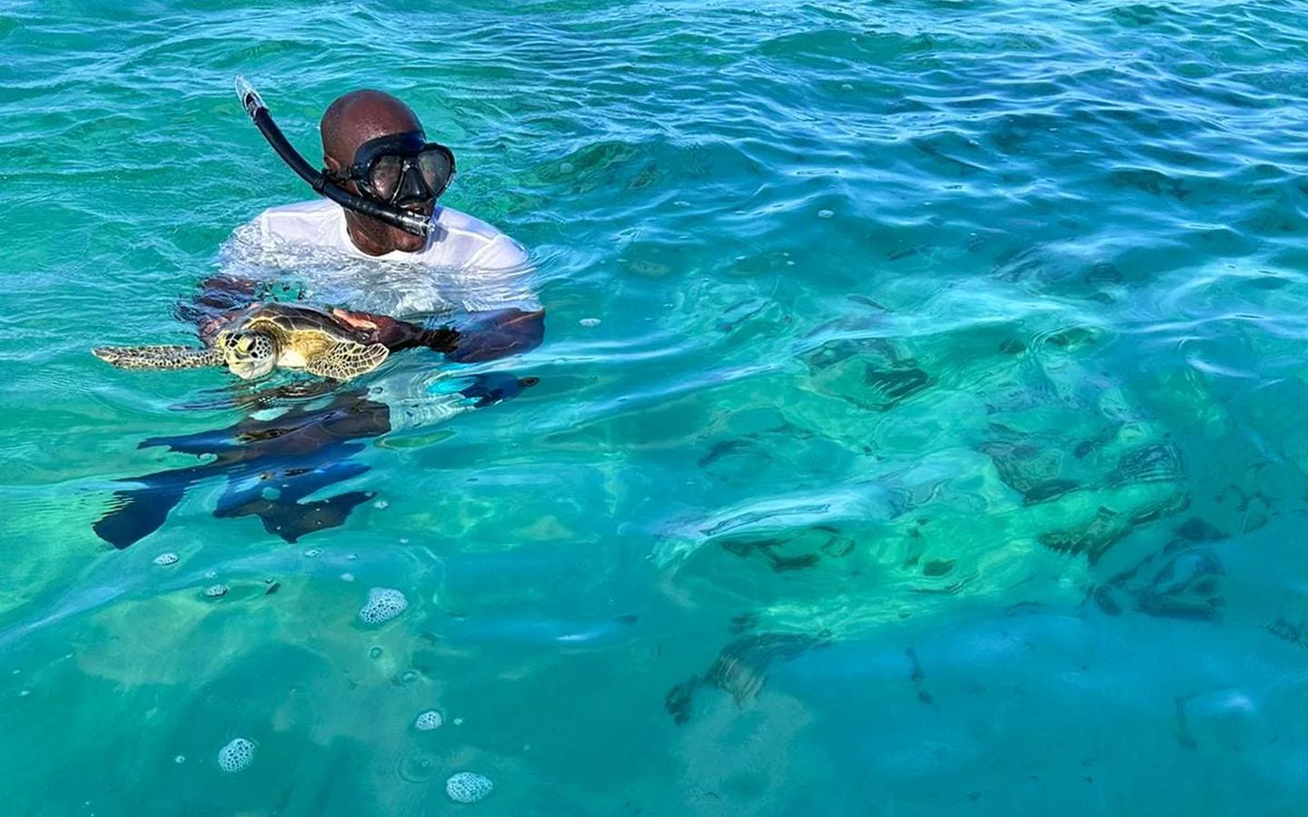 A snorkeler at the surface holding a green turtle in clear turquoise water