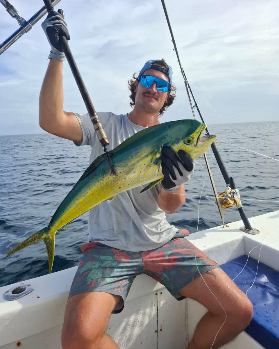 A crew member holding a mahi mahi up on the gaff, rods in the holders behind