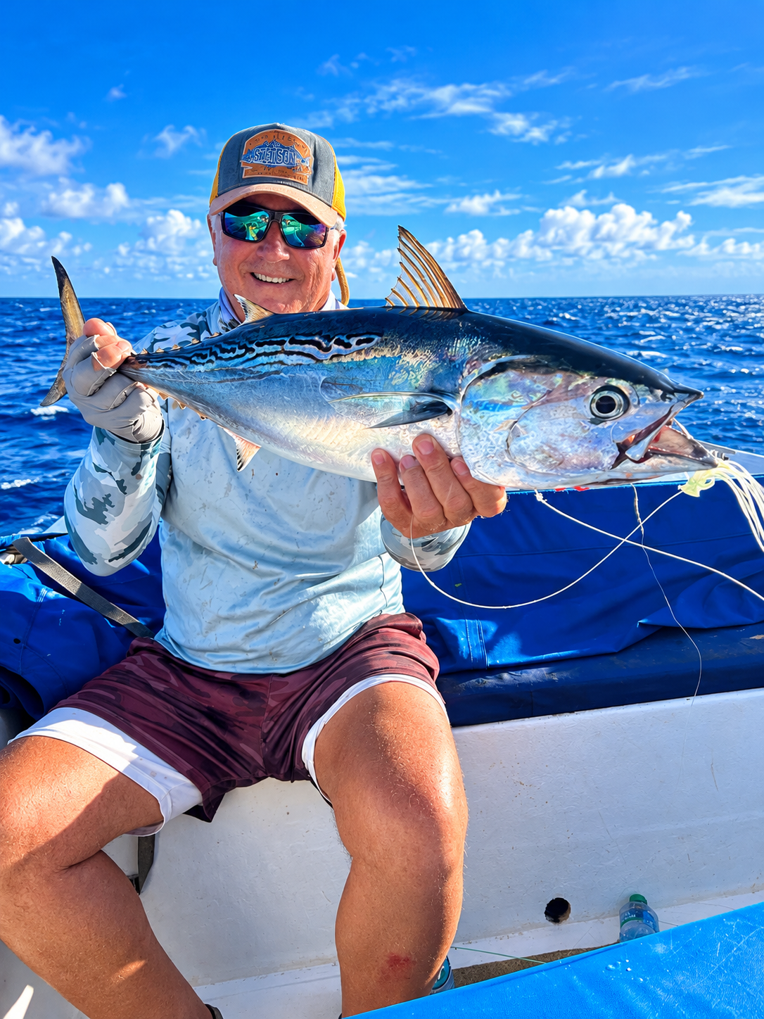 Bonito tuna