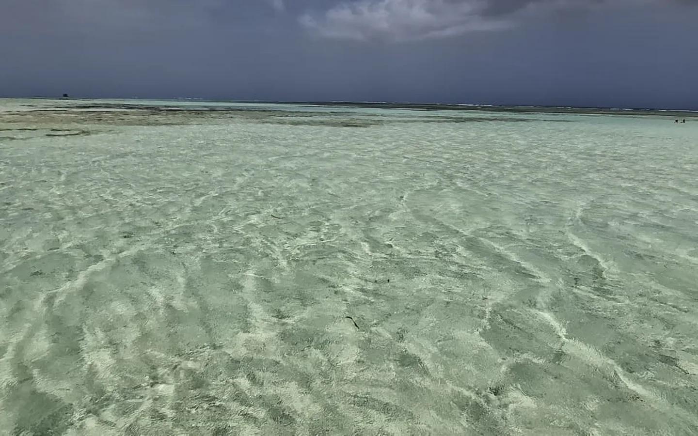 The waist-deep sandbar of the Nylon Pool, clear water running out to the reef line