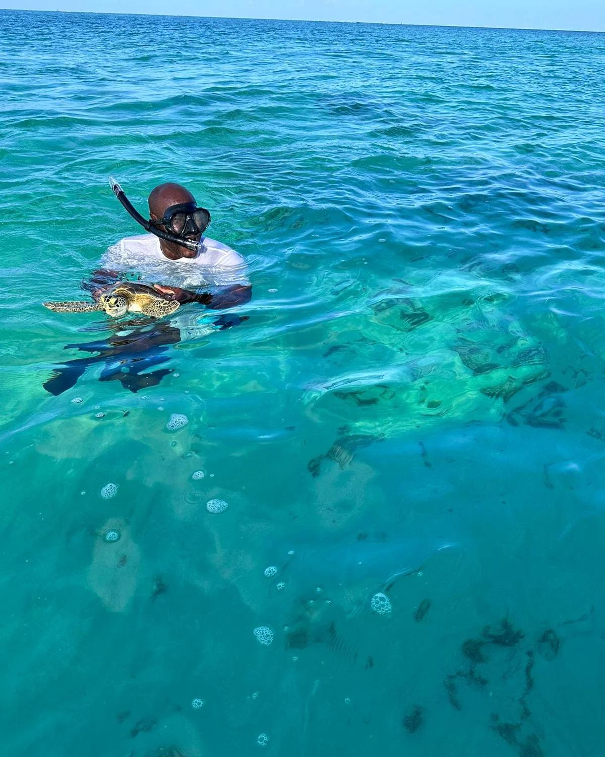 A snorkeler at the surface holding a green turtle in clear turquoise water