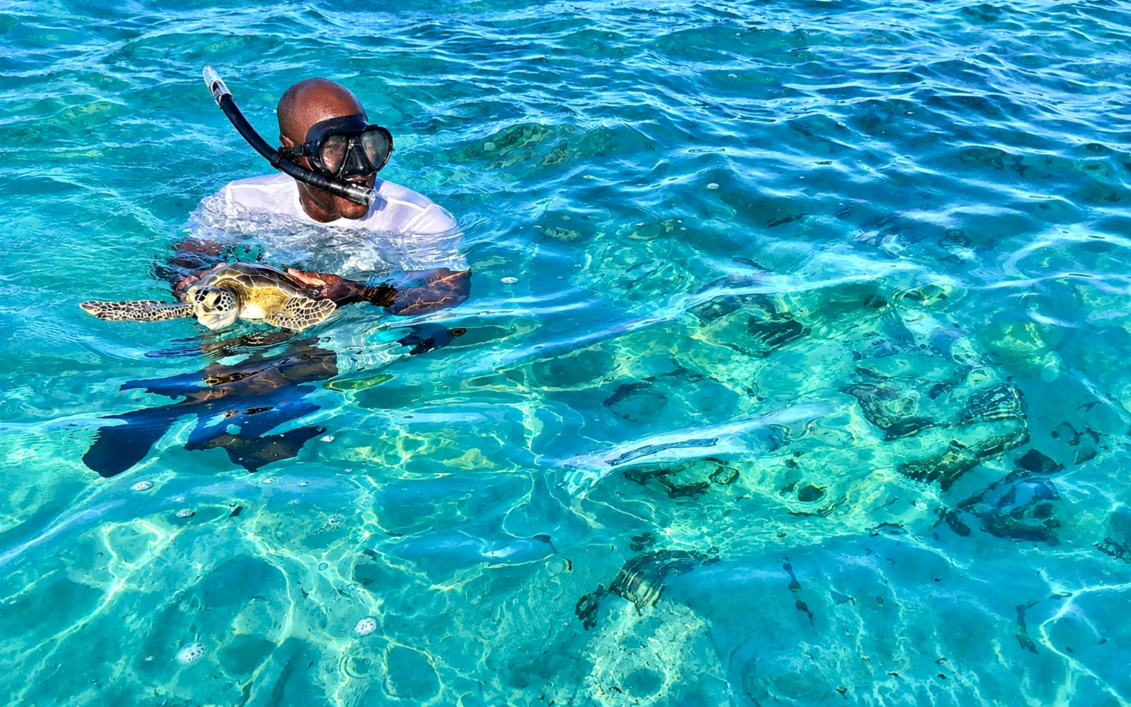 A snorkeler at the surface holding a green turtle in clear turquoise water