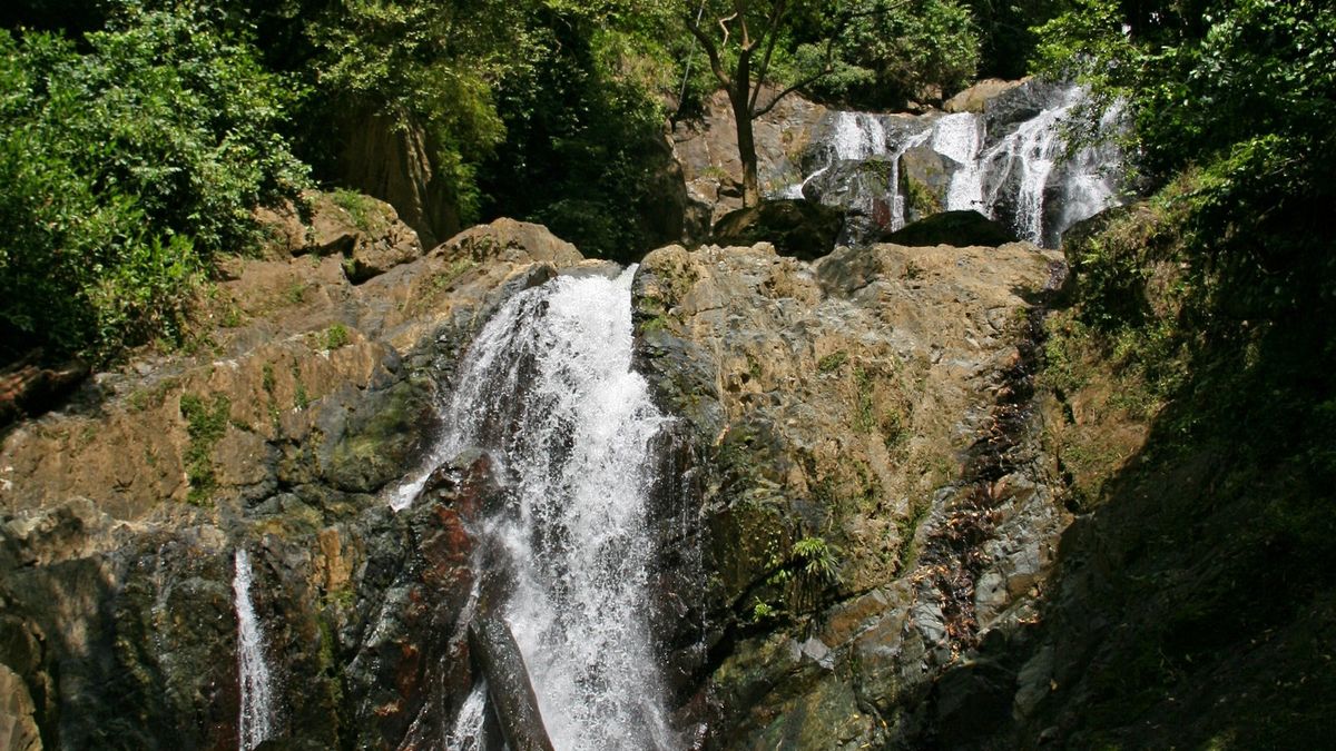 Argyle waterfall dropping through the rainforest