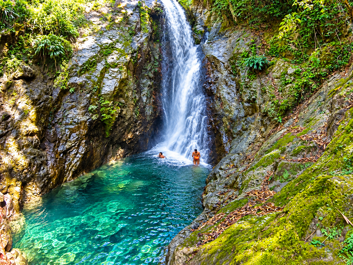 waterfall dropping through the rainforest
