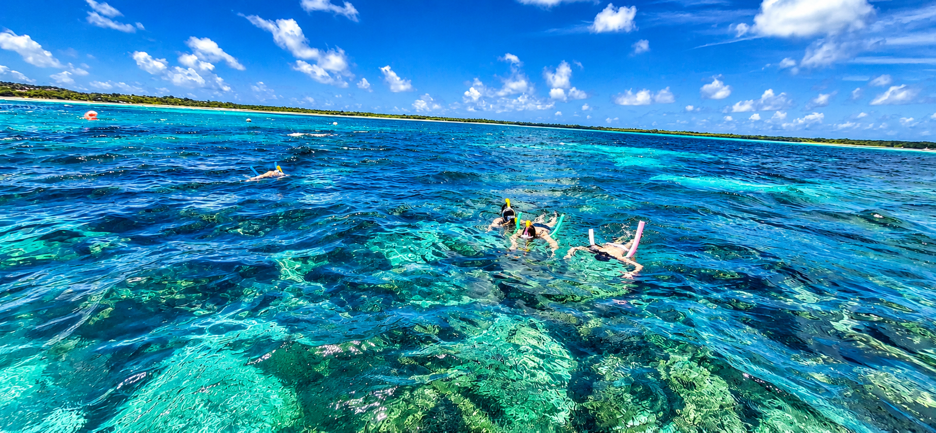 A group snorkelling over the reef in clear turquoise water, the island behind them