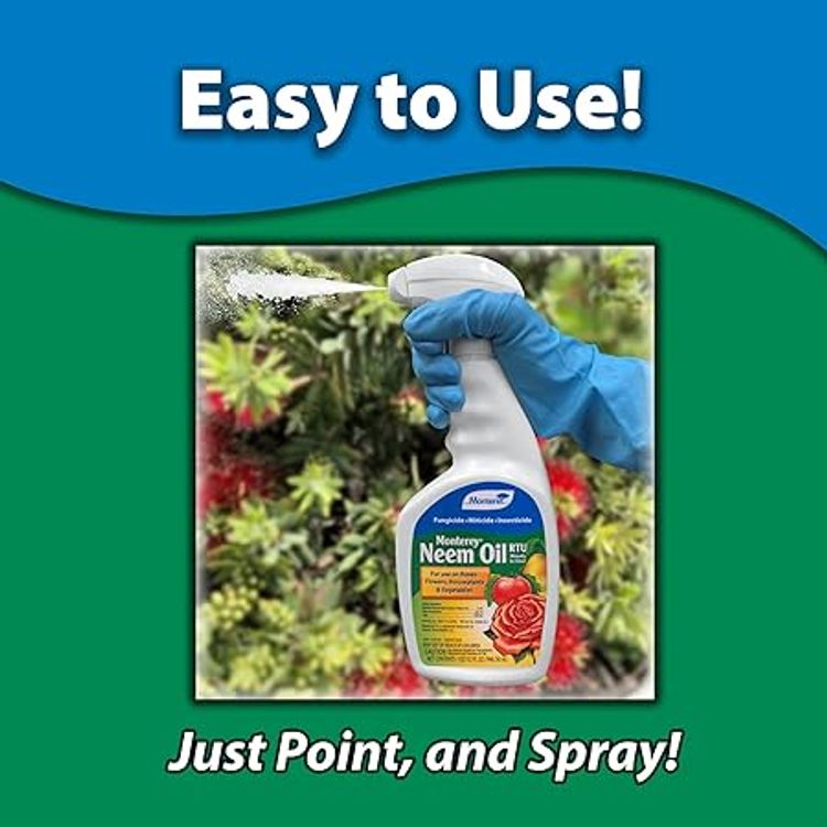 Neem Oil - Just point and spray