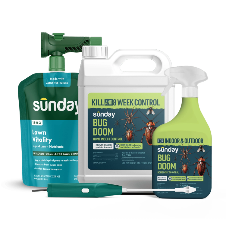 Lawn & Home Insect Control Pest Kit includes: Bug Doom Indoor Insect Spray, Motorized Wand Sprayer, Bug Doom Home Barrior Spray, NEW Replacement Sprayer, and Lawn Vitality