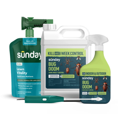 Lawn & Home Insect Control Pest Kit includes: Bug Doom Indoor Insect Spray, Motorized Wand Sprayer, Bug Doom Home Barrior Spray, NEW Replacement Sprayer, and Lawn Vitality