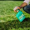 weed control