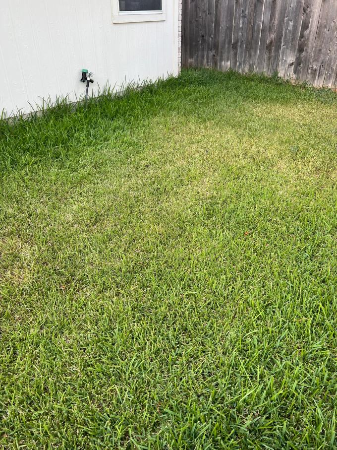 Best Time To Apply Lawn Fertilizer Complete Guide 2025 Sunday Lawn Care best-time-to-apply-lawn-fertilizer-complete-guide-2025-sunday-lawn-care