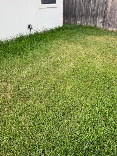 Visual signs of drought stress in a typical lawn