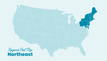 US pest regions map Northeast