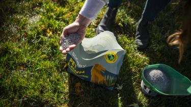 Person overseeding fall lawn with premium grass seed