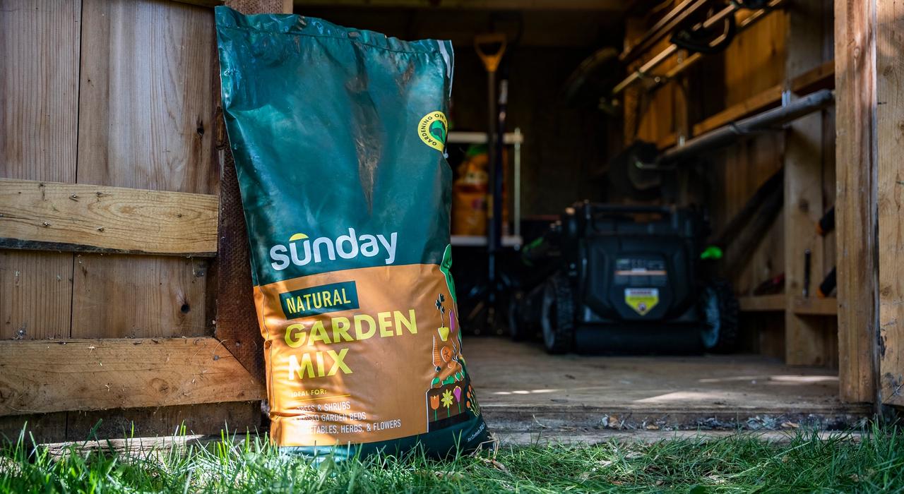 Sunday Natural Garden Mix