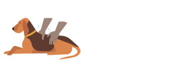 Step 2 massage into dog