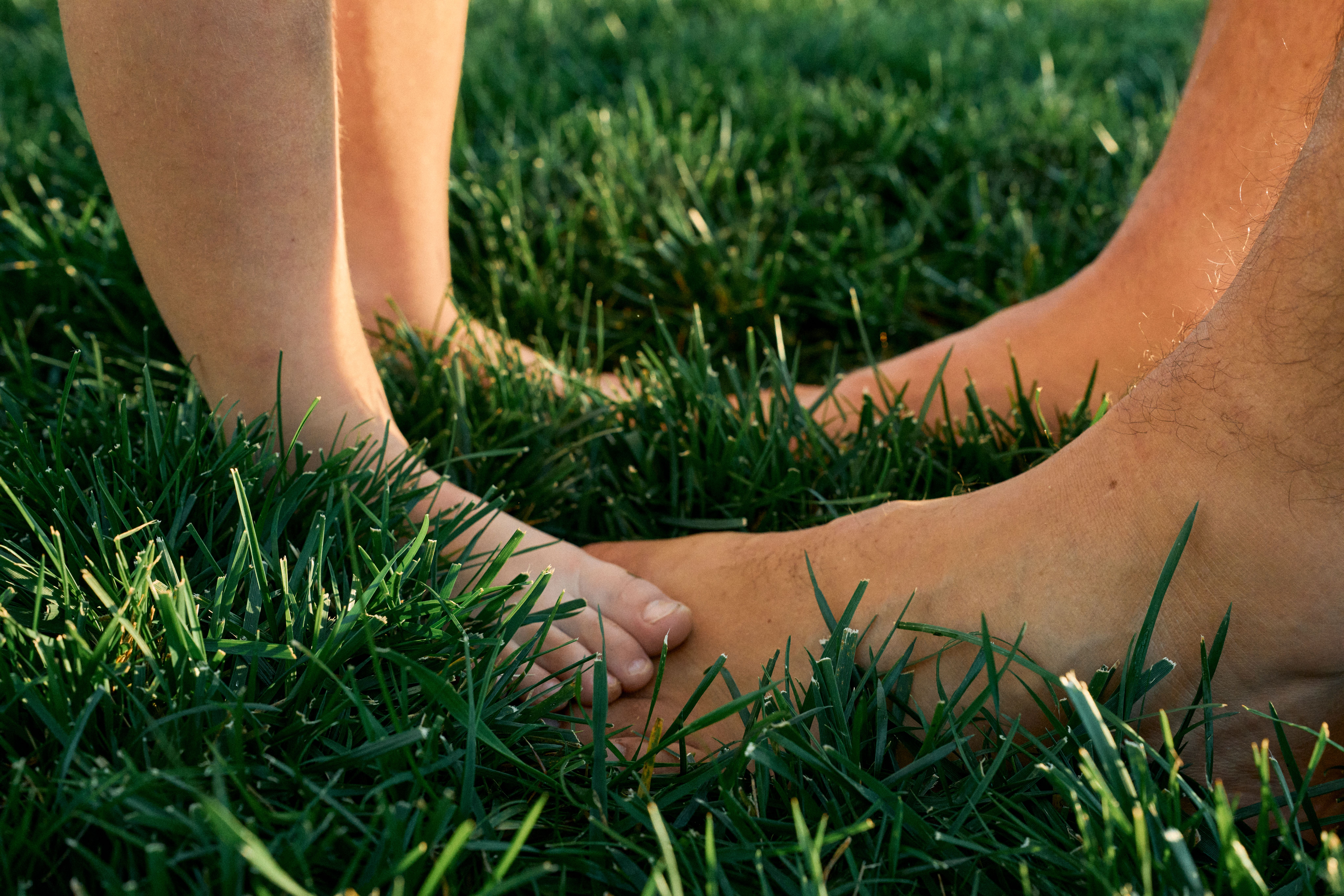 Close-up of an adult and child standing barefoot on thick green grass, toes touching on the lawn.