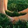 Close-up of an adult and child standing barefoot on thick green grass, toes touching on the lawn.