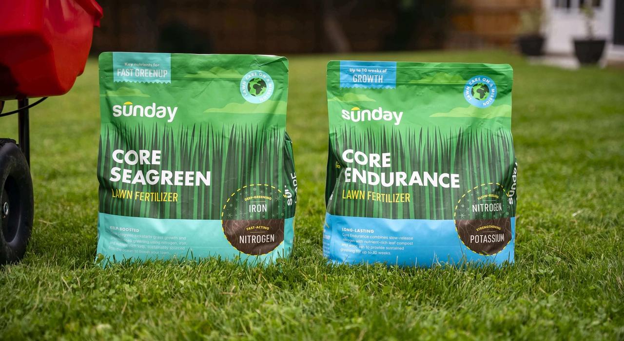 Sunday granular fertilizer products on lawn