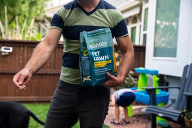 Man applying Pet Lawn grass seed to lawn