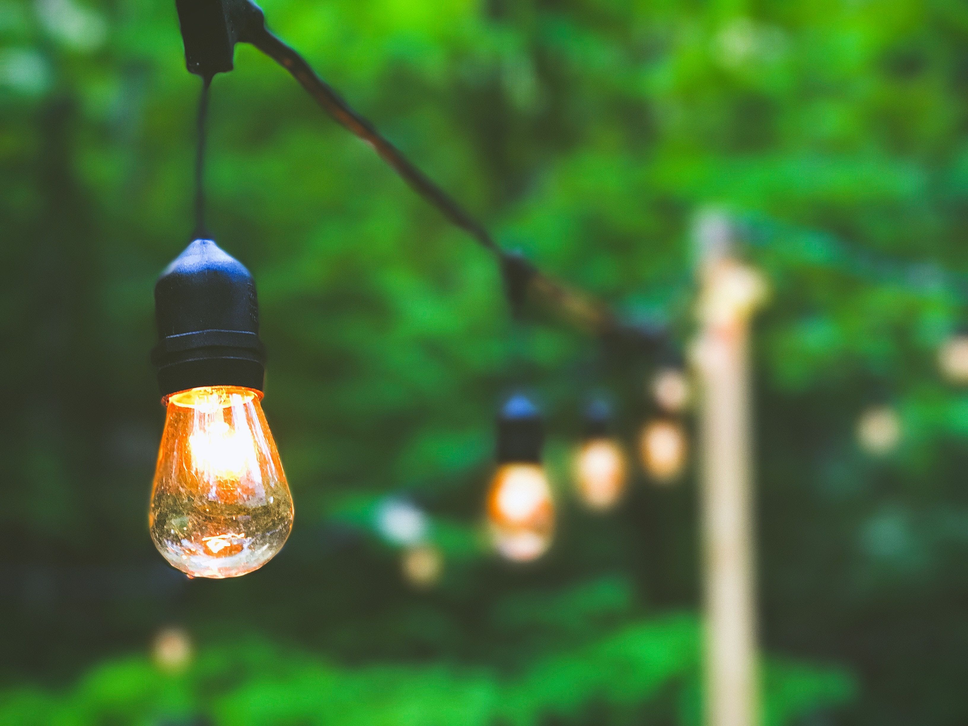 Sting lights in a backyard space