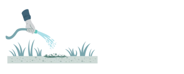 Water in Sunday Pet Lawn Bare Repair