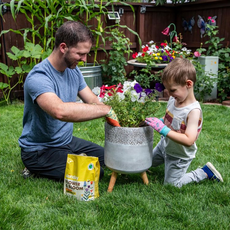 Parent and child using Flower & Bloom Plant Food Mix while planting flowers