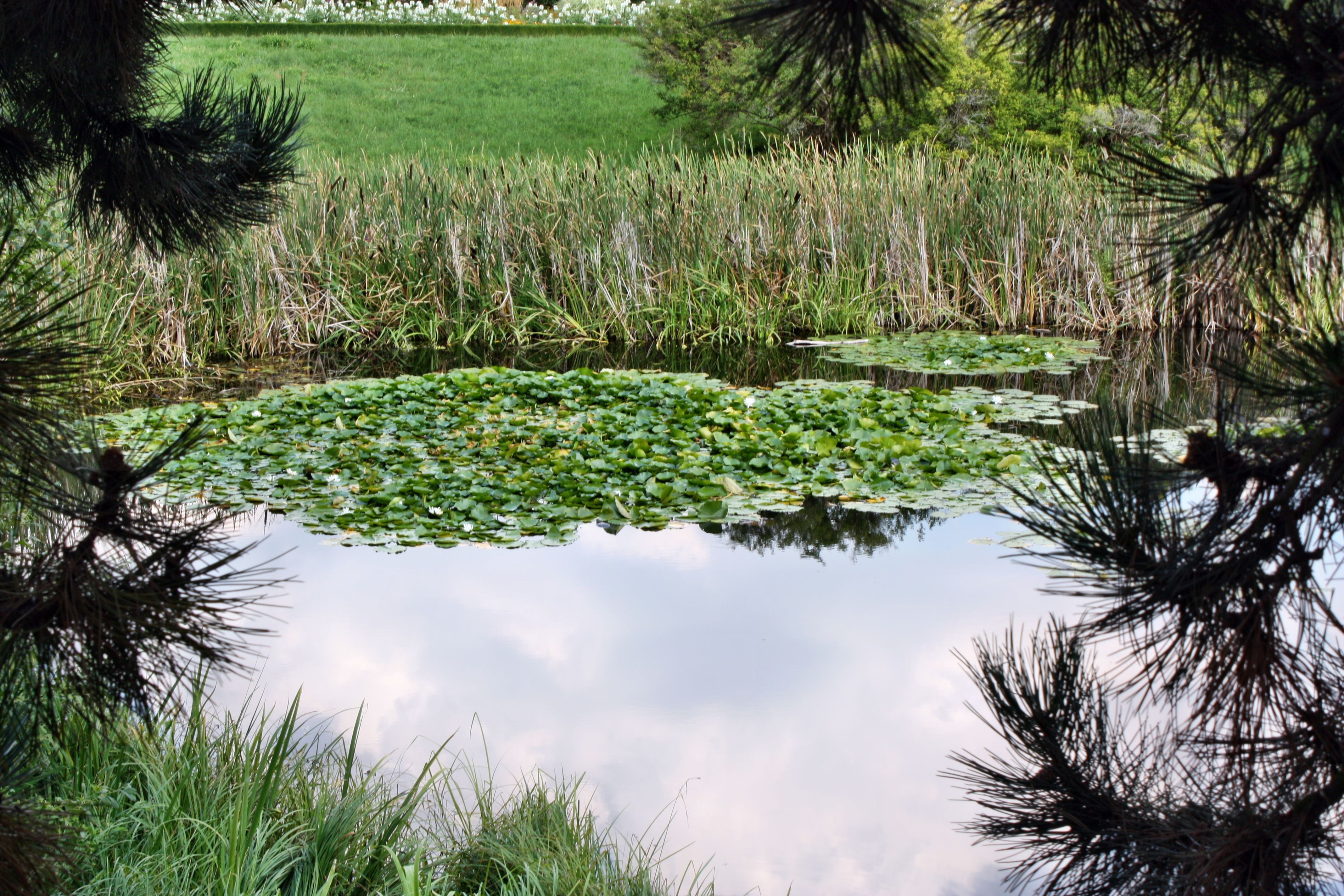 North Central landscape