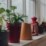 Houseplants and pots on a window ledge