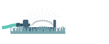 Water in Sunday Pet Patch