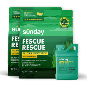 Fescue Seed & Weed Kit includes: Dandelion Doom Herbicide Concentrate Refill, Sunday Herbicide Pouch, Wand Sprayer, and Fescue Rescue Grass Seed