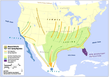 Monarch migration across North America