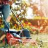 lawn mowing grass