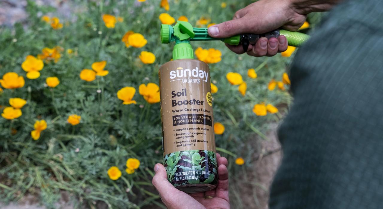 Person holding Soil Booster soil amendment made from vermicompost into garden bed.